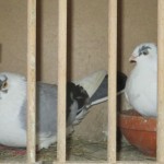 IMG_0025