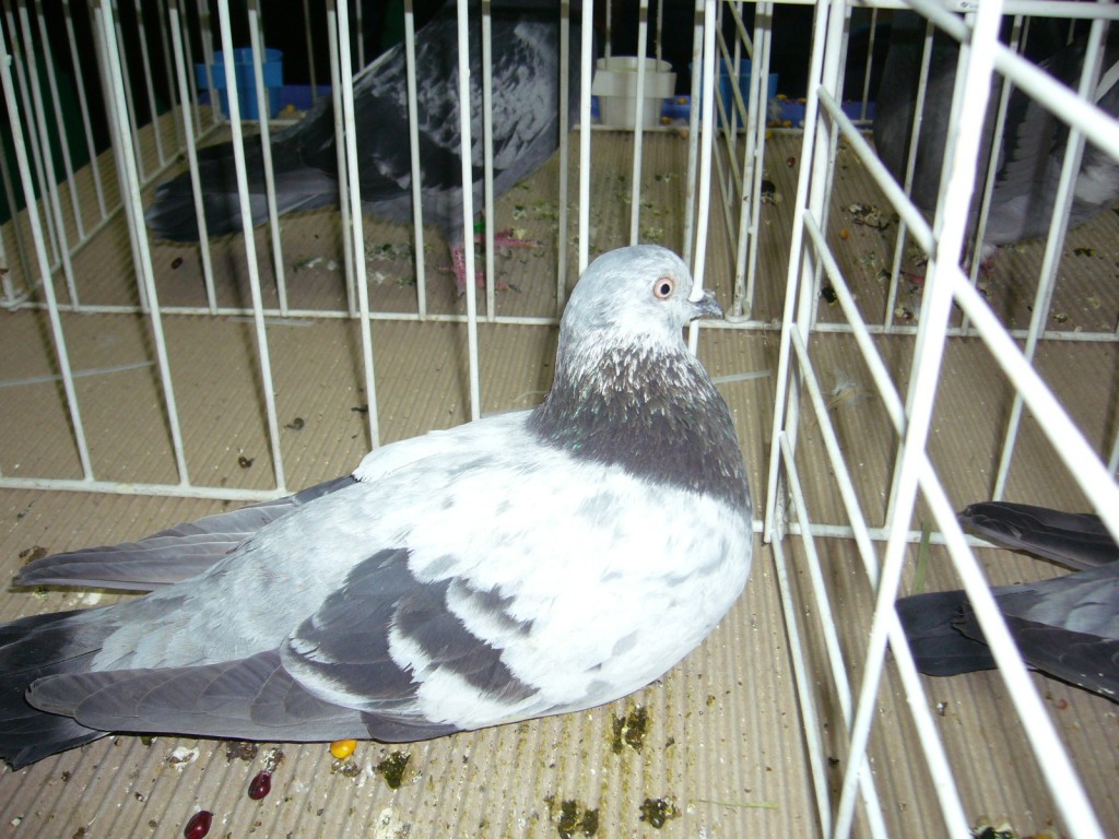 P1110381