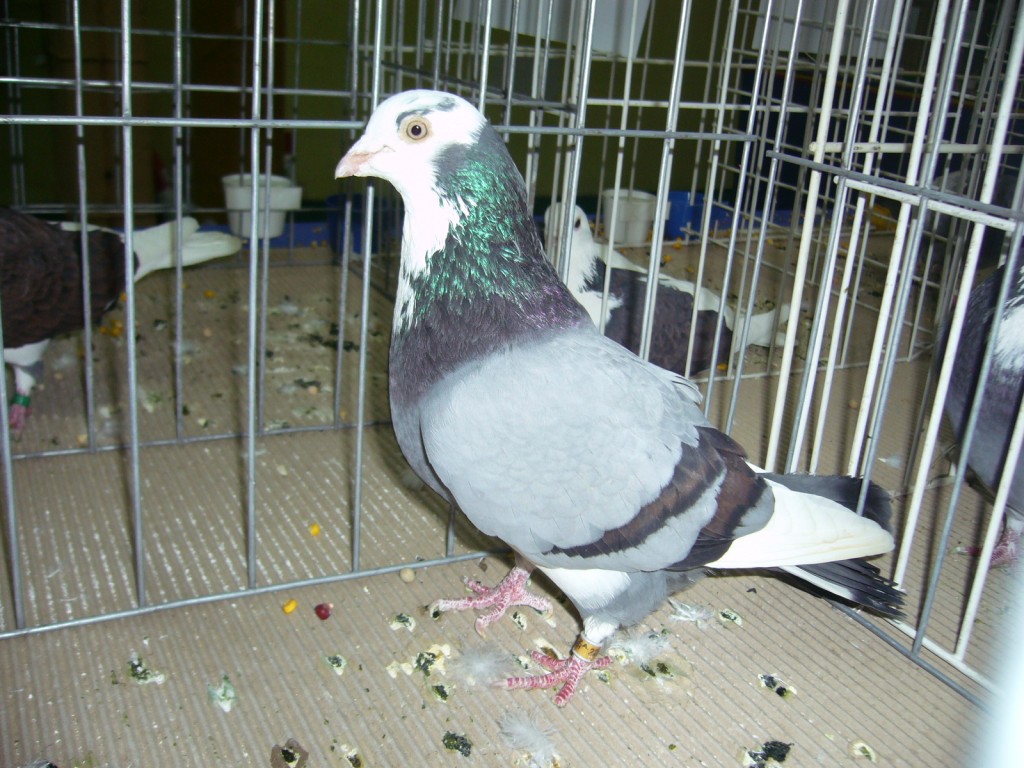 P1110388