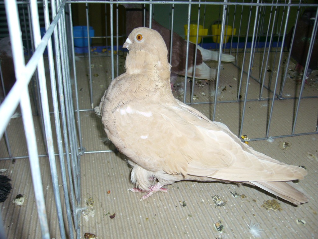 P1110397