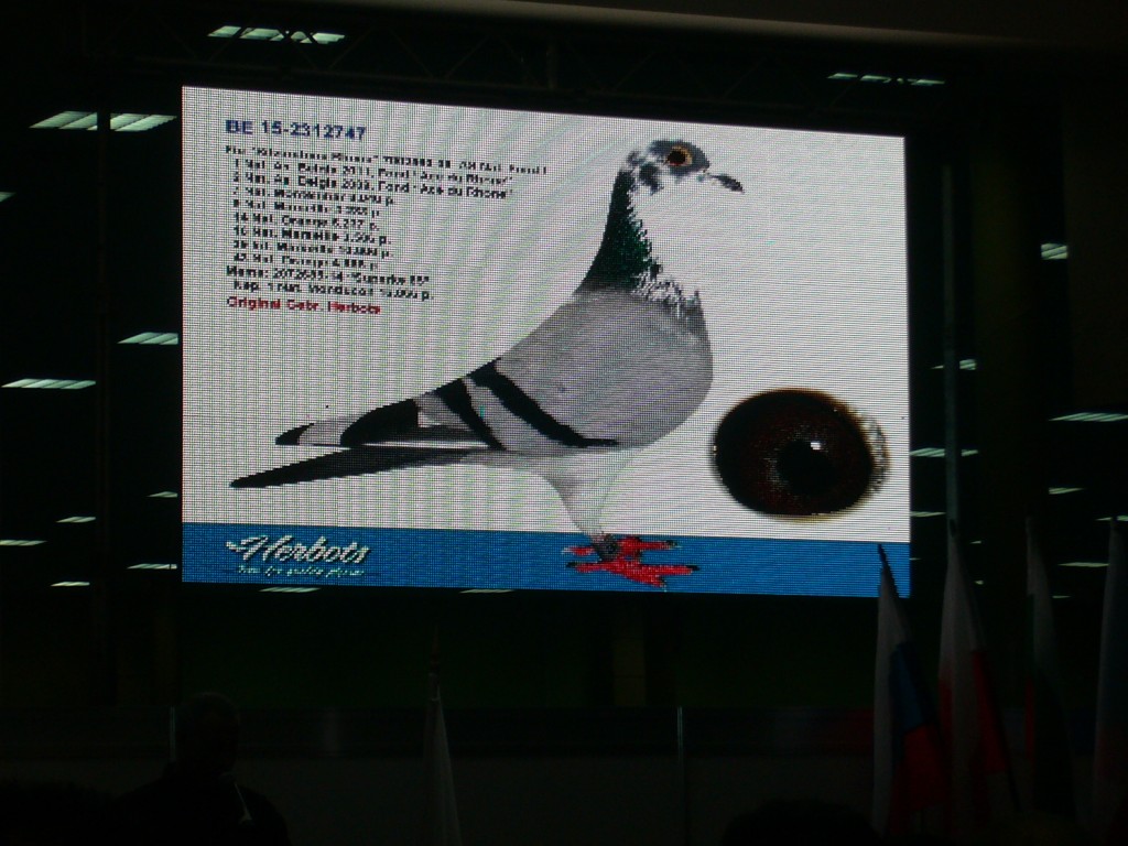 P1110444