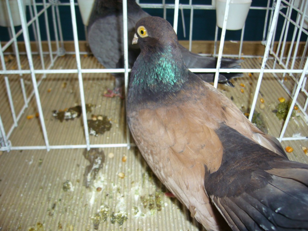 P1110614