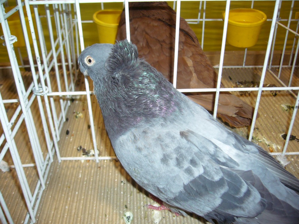 P1110628