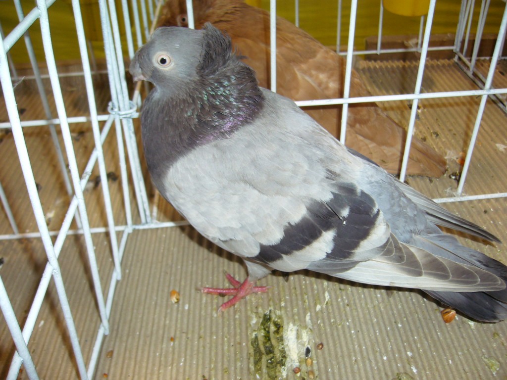P1110629