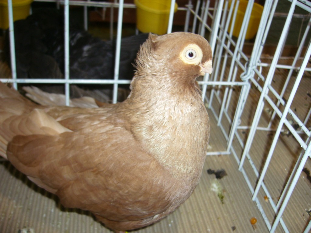 P1110633