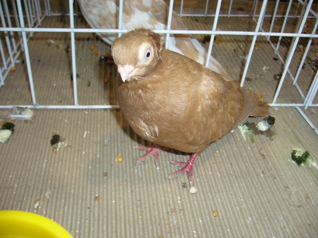 P1110634