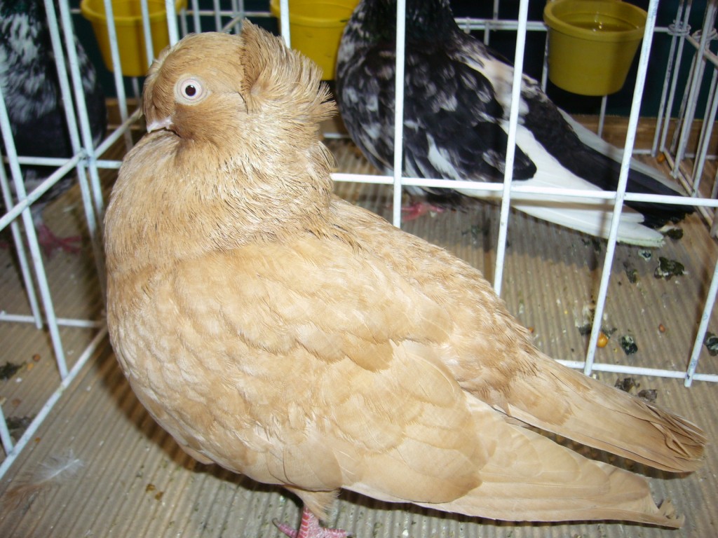 P1110636