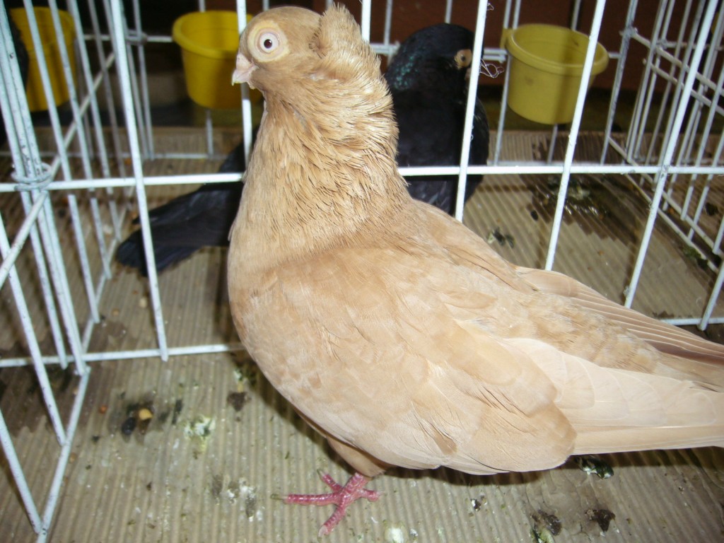 P1110637