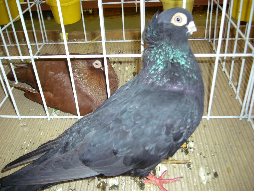 P1110639