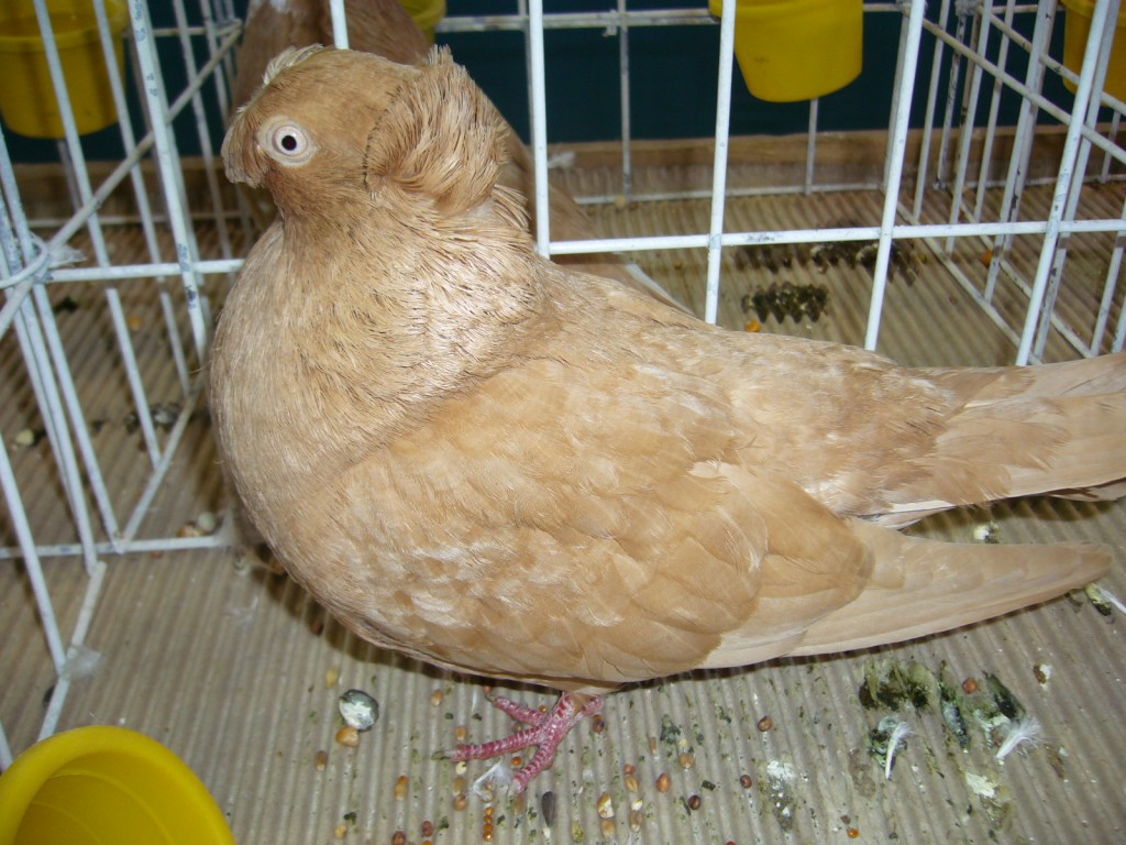 P1110640