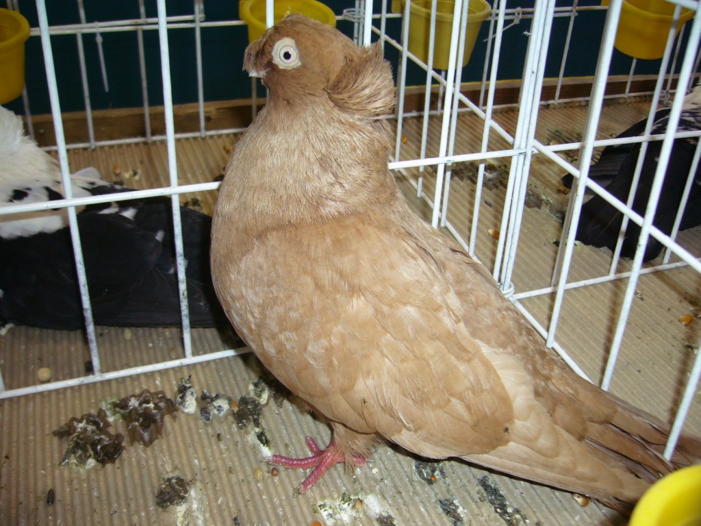 P1110641