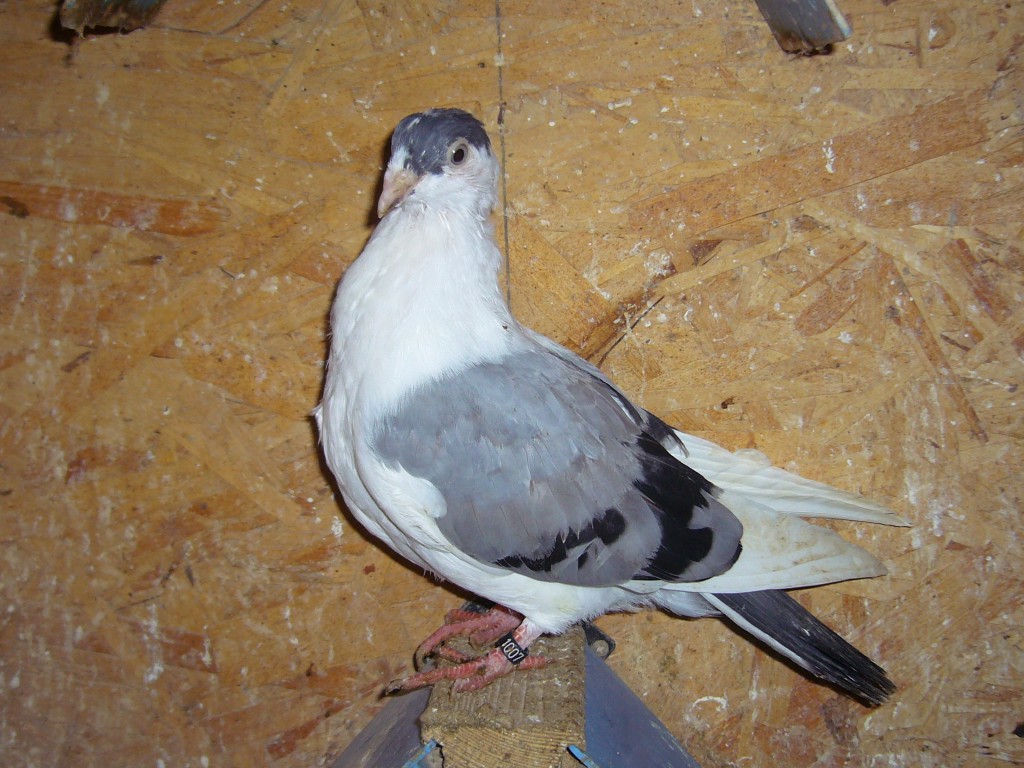 P1110846
