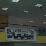 DSCN3972