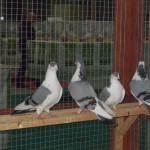 DSCN3978