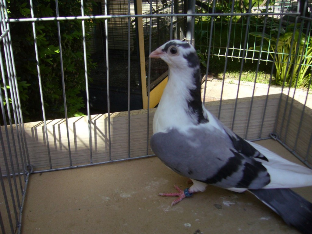 P1130055
