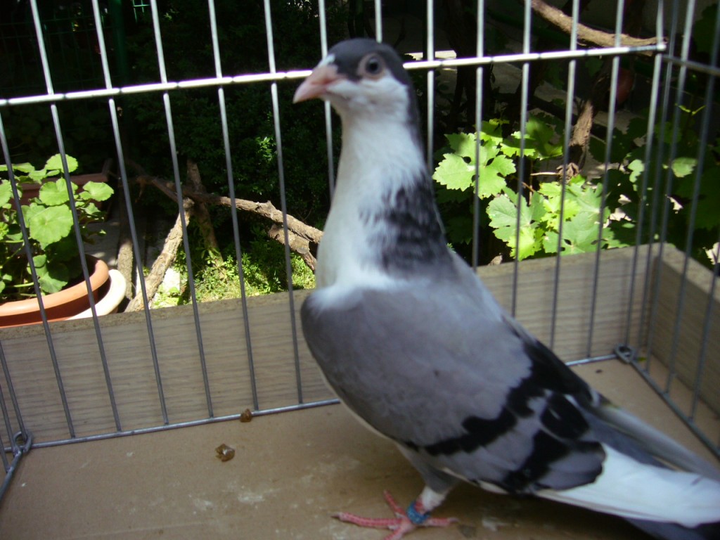 P1130071