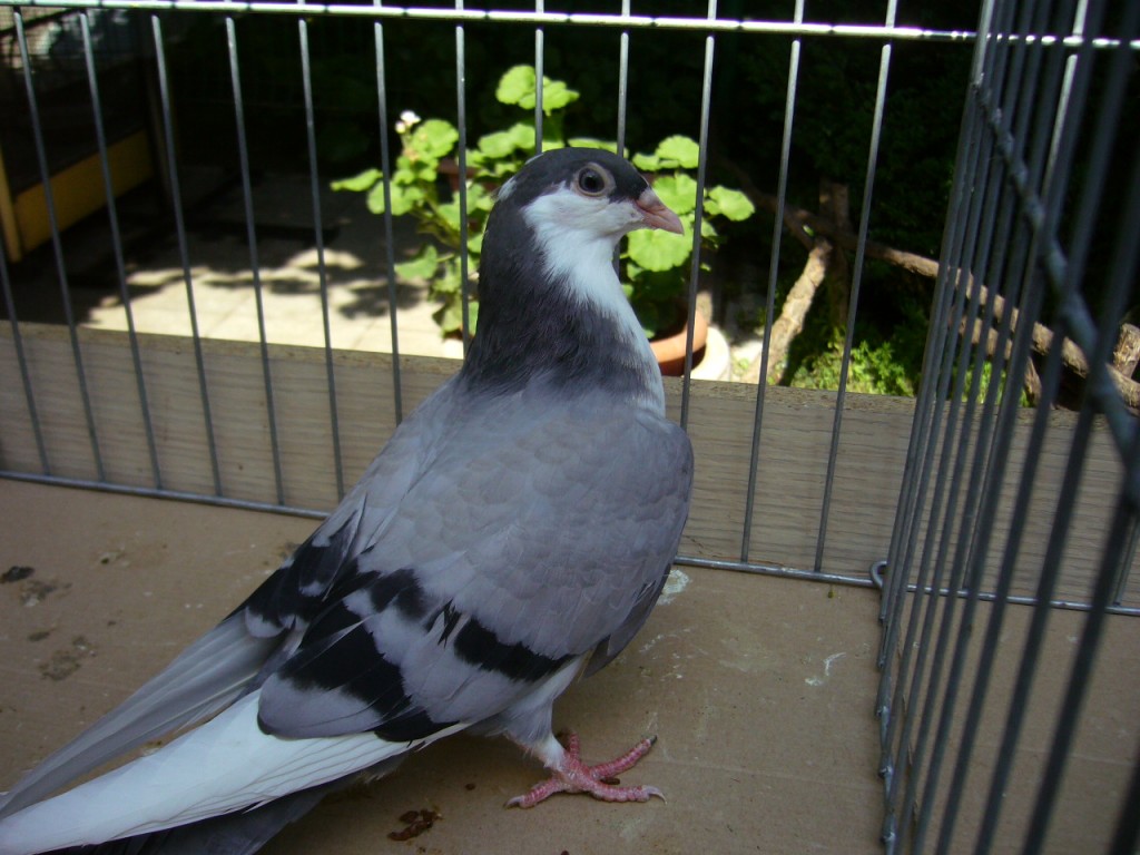 P1130072