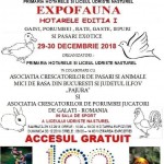 49001793_2158802330842870_8349195060809564160_n