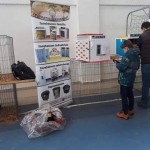 49461706_638992813182104_6264503336460877824_n