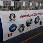 49638368_547951399056952_5251261701692588032_n