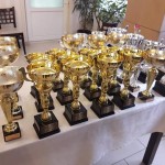 FB_IMG_1544377480002