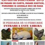 AFIS EXPO JUDETEANA OTP 2019 v 17.01.2019