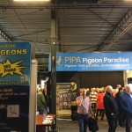 WhatsApp Image 2020-04-01 at 20.36.32