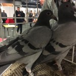 WhatsApp Image 2020-04-01 at 20.36.35