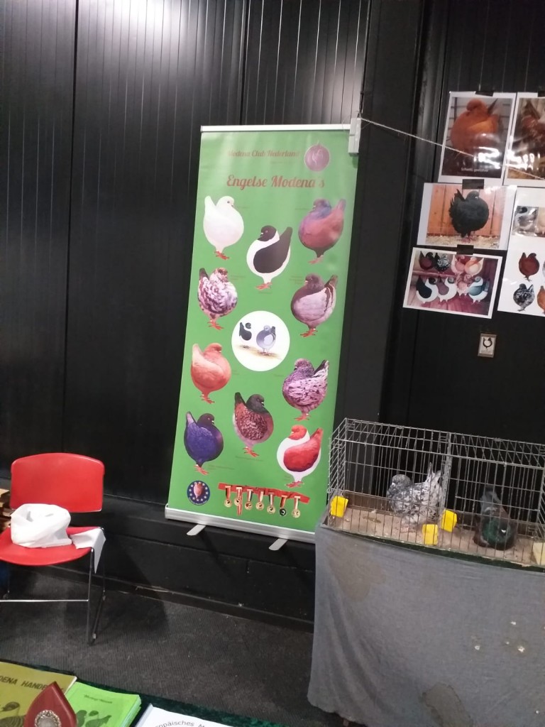 WhatsApp Image 2020-04-01 at 20.42.23