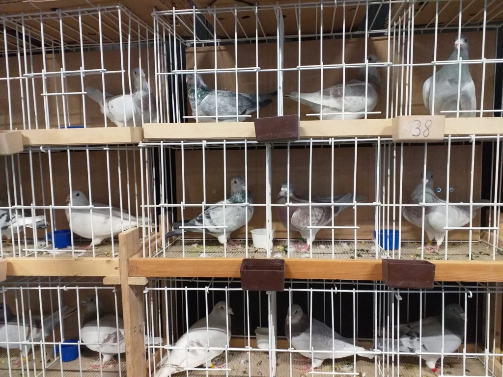 WhatsApp Image 2020-04-01 at 20.42.27