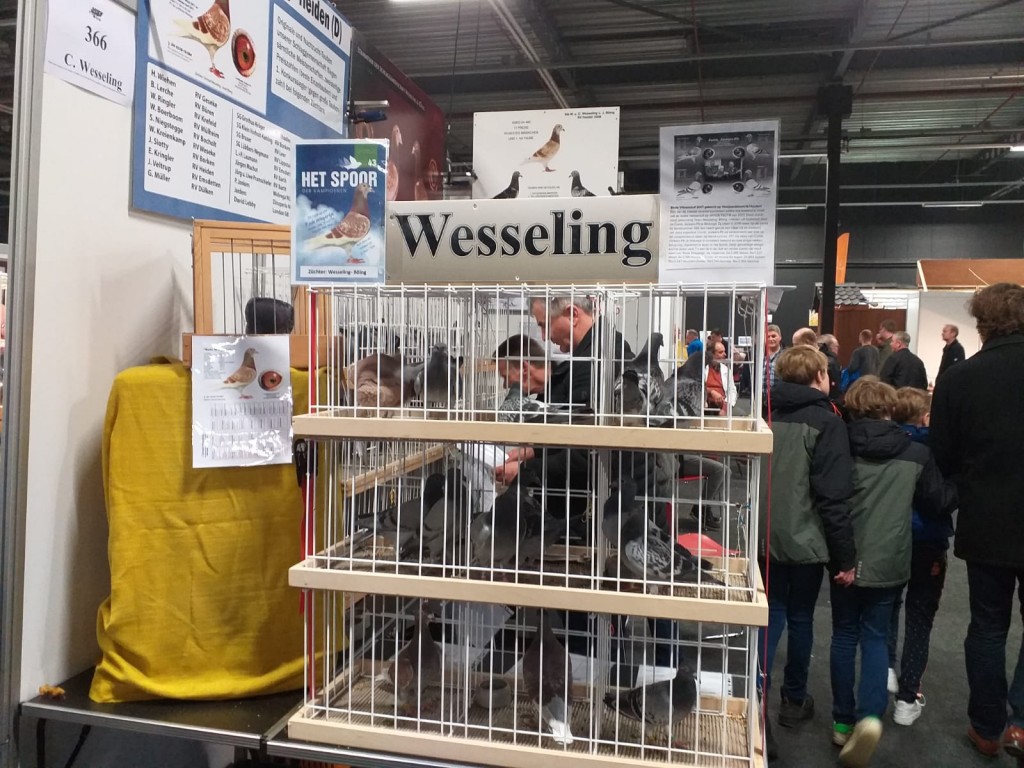 WhatsApp Image 2020-04-01 at 20.42.30