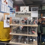 WhatsApp Image 2020-04-01 at 20.42.30