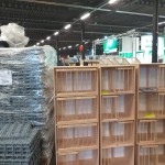 WhatsApp Image 2020-04-01 at 20.42.33 (1)