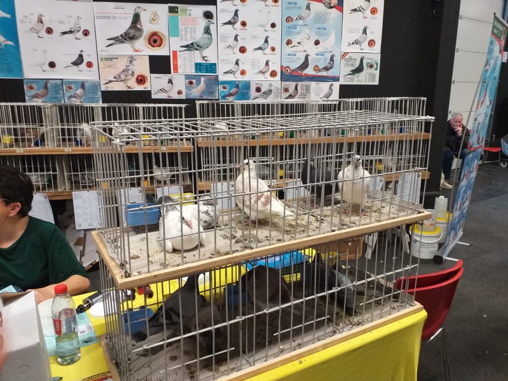 WhatsApp Image 2020-04-01 at 20.42.33