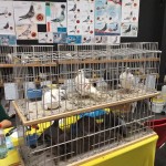 WhatsApp Image 2020-04-01 at 20.42.33