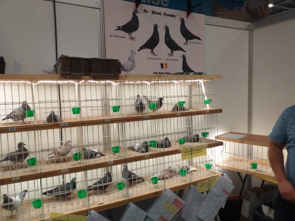 WhatsApp Image 2020-04-01 at 20.42.34