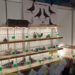 WhatsApp Image 2020-04-01 at 20.42.34