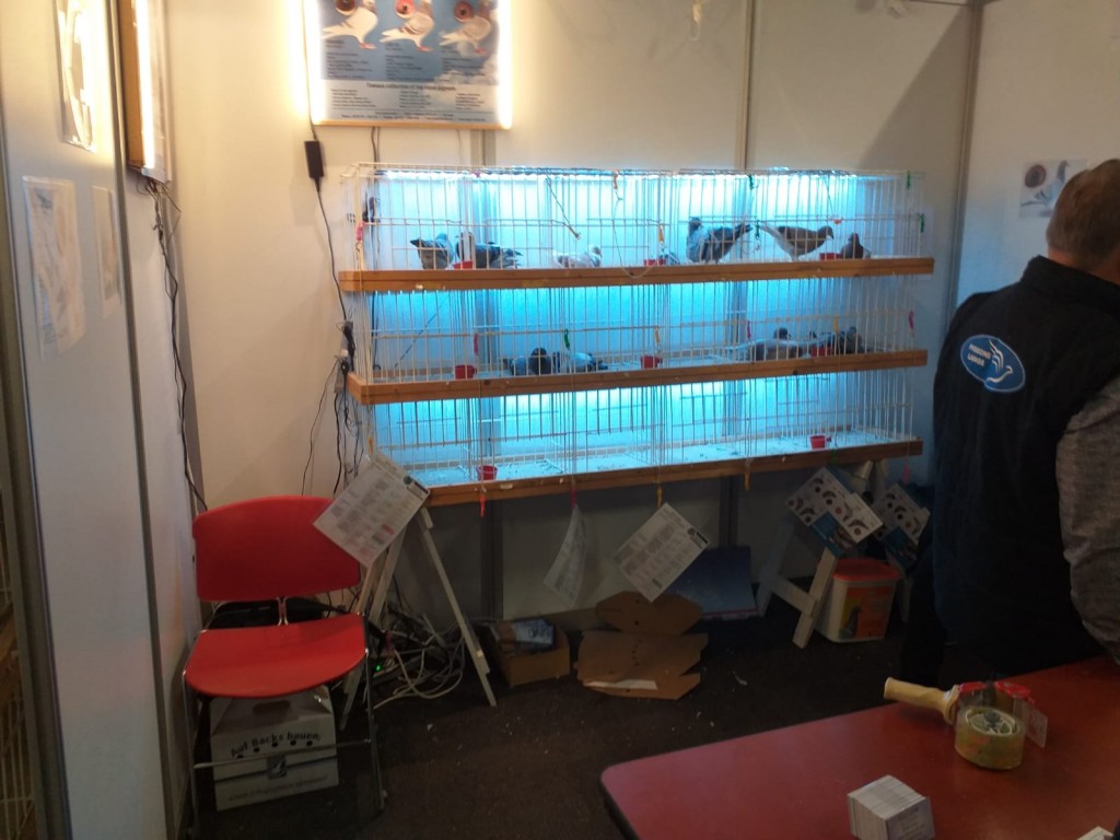 WhatsApp Image 2020-04-01 at 20.42.35