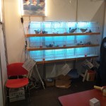 WhatsApp Image 2020-04-01 at 20.42.35