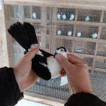 WhatsApp Image 2020-04-02 at 12.12.23 (1)