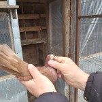 WhatsApp Image 2020-04-02 at 12.12.23