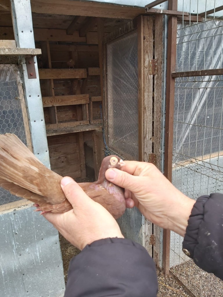 WhatsApp Image 2020-04-02 at 12.12.23