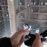 WhatsApp Image 2020-04-02 at 12.12.24