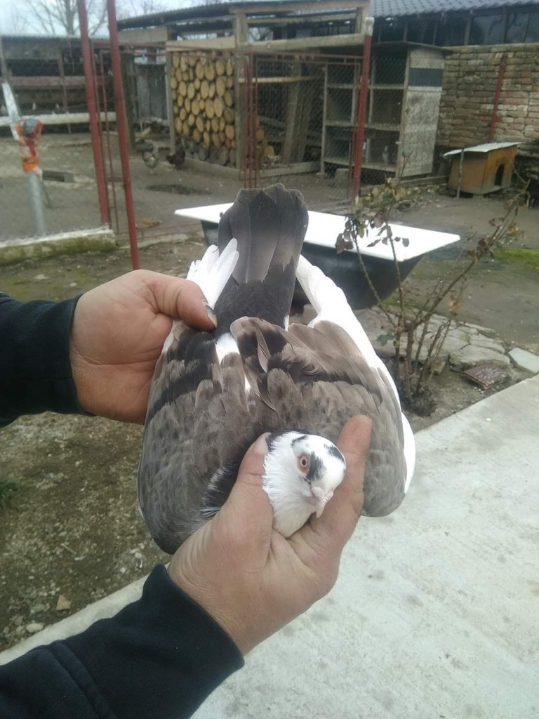 WhatsApp Image 2020-04-02 at 12.12.24 (2)