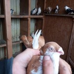 WhatsApp Image 2020-04-02 at 12.12.25