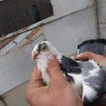 WhatsApp Image 2020-04-02 at 12.12.25 (2)