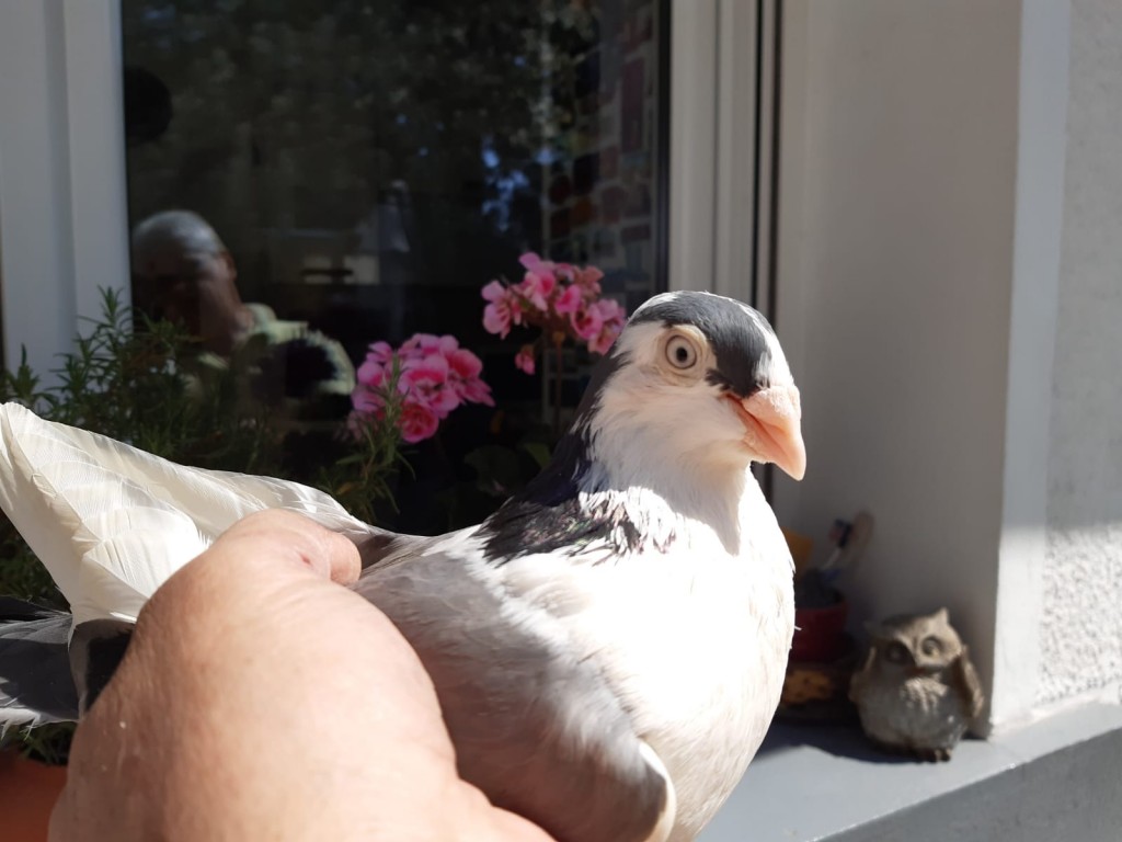 WhatsApp Image 2020-04-14 at 15.33.53