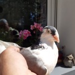 WhatsApp Image 2020-04-14 at 15.33.53