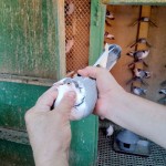 WhatsApp Image 2020-09-06 at 20.31.25