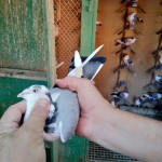 WhatsApp Image 2020-09-06 at 20.31.26 (1)